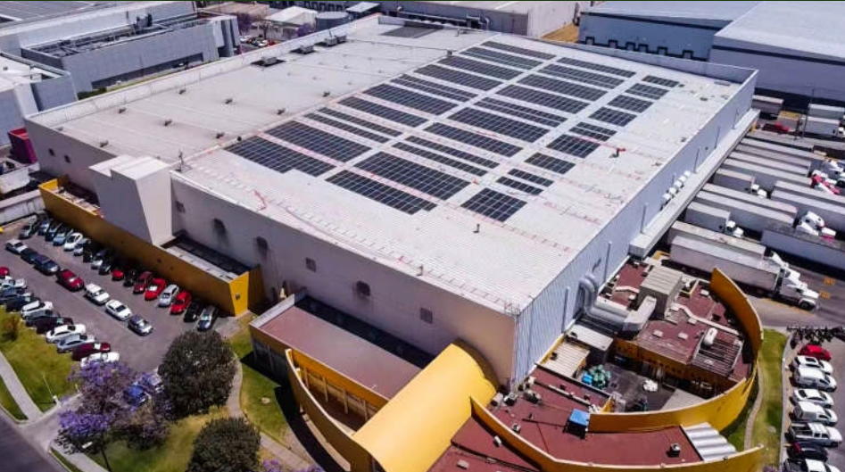 PLANTA ALIMENTOS